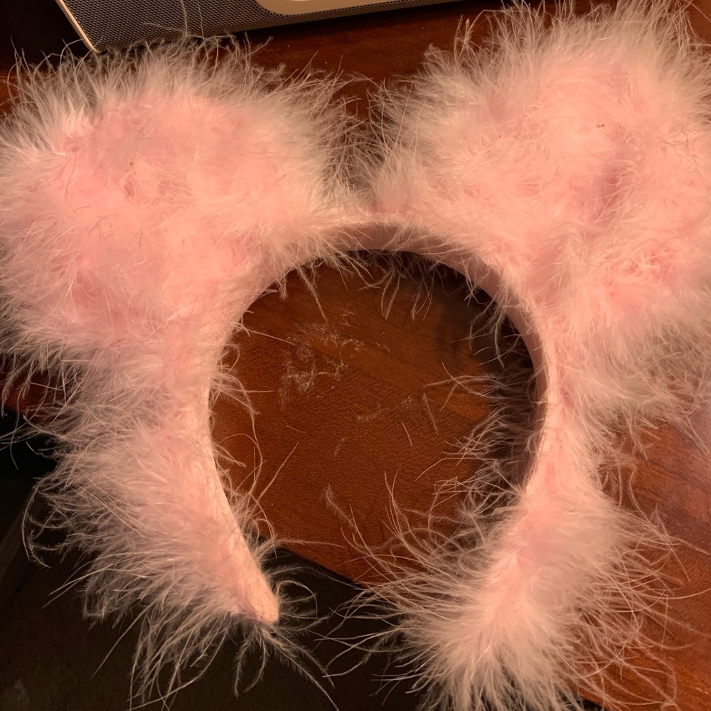 Rare Disney Ears from 2004